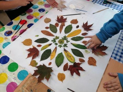 Mezinárodní den stromů - 20. října