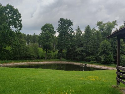 Škola v přírodě - Jizbice pod Blaníkem