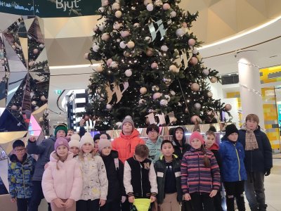 Předvánoční radovánky