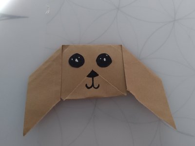 Máme nového domácího mazlíčka