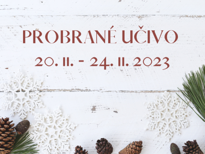 Přehled učiva z týdne 20. - 24. 11. 2023