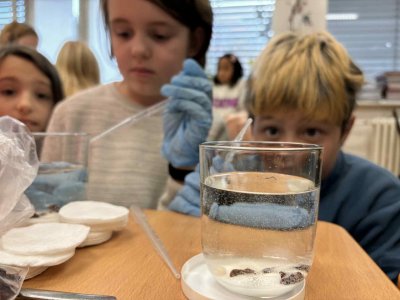 Halloweenský projekt