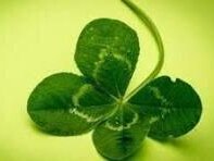 Přání k přijímacím zkouškám