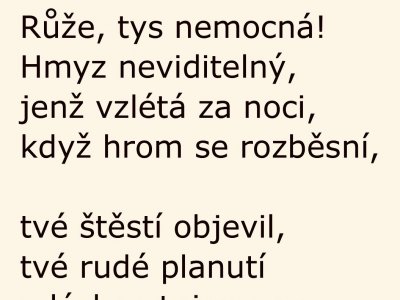 Malý princ- čteme společně