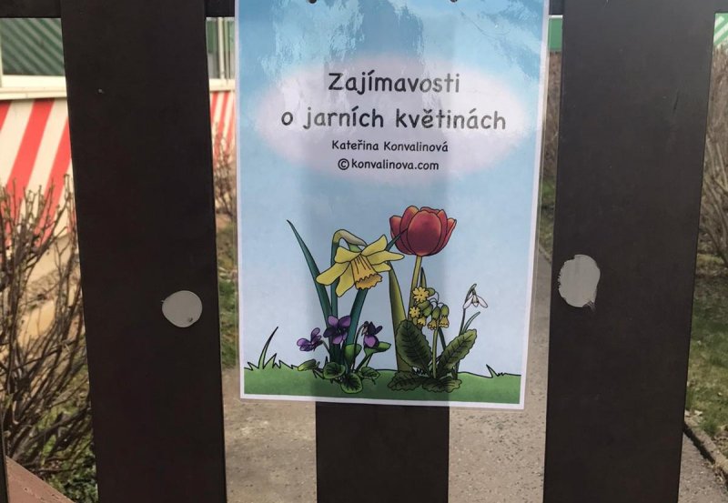 Stezka o jarních květinách